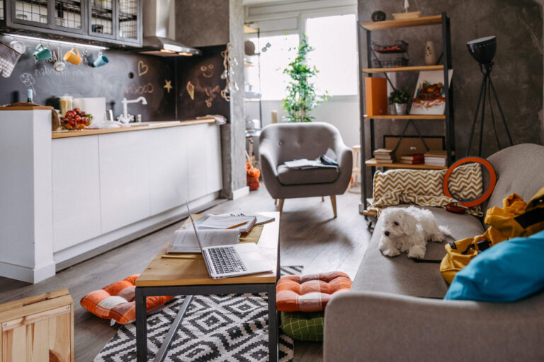 Compact wonen in een moderne, gezellige woonkamer met een kleine keuken, een laptop op tafel, en een hond op de bank.